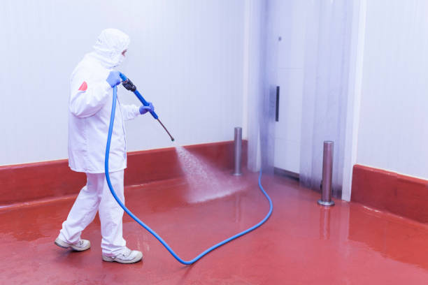 Best Sidewalk and Walkway Pressure Cleaning in Fresno, TX